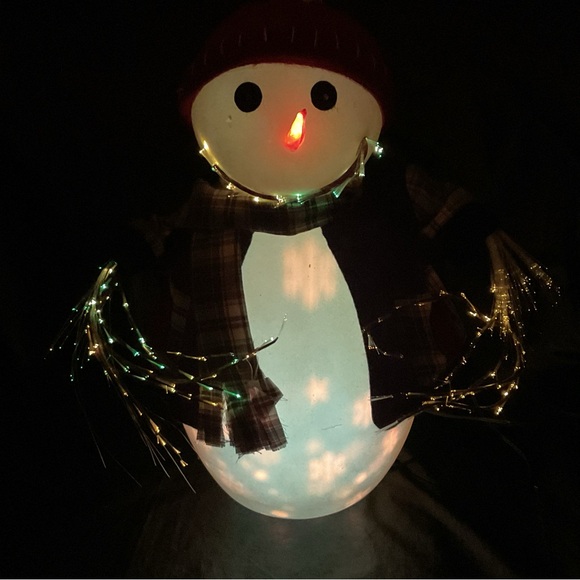16" Fiber Optic Color Changing Christmas Mr
Snowball Snowman - Picture 11 of 11